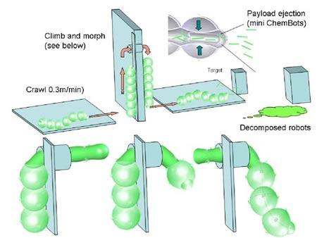 美開發化學機器人能縮身變形自動降解(圖)