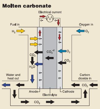 按此在新窗口瀏覽圖片